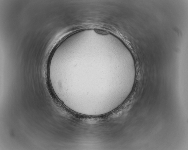 X0000112360103200909031918