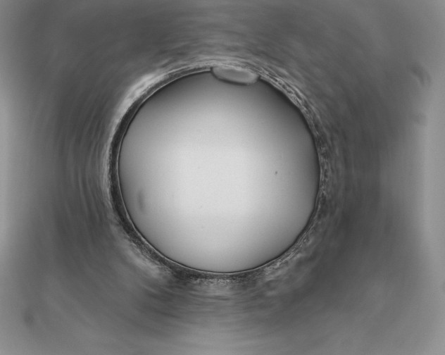 X0000112360104200909031918