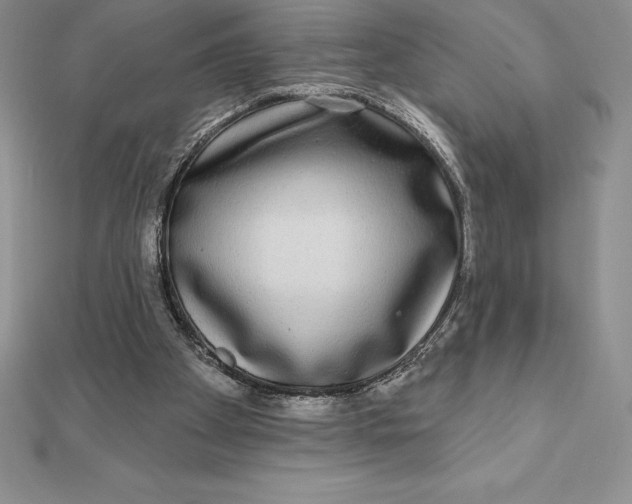 X0000112360105200909031918