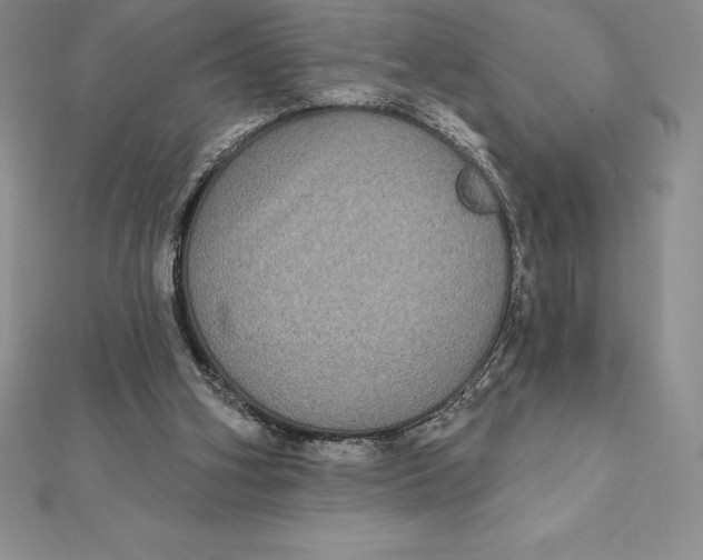 X0000112360106200909031918