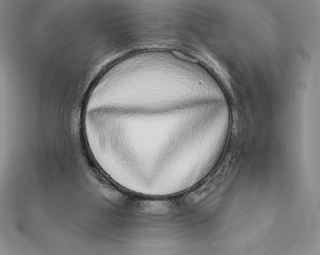 X0000112360107200909031918