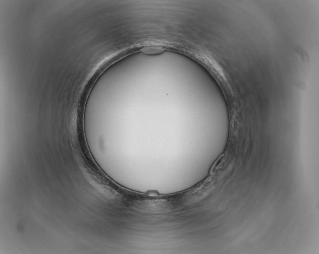 X0000112360108200909031918
