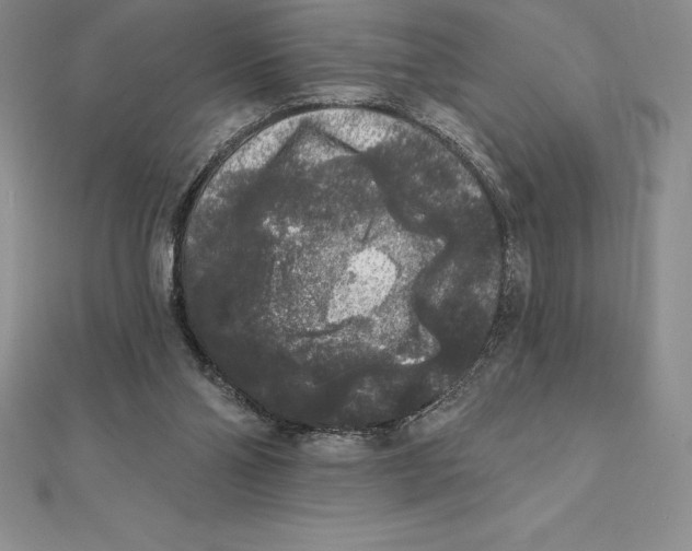 X0000112360110200909031918