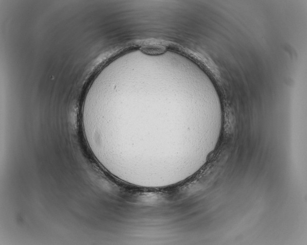 X0000112360111200909031918
