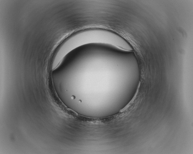 X0000112360112200909031918
