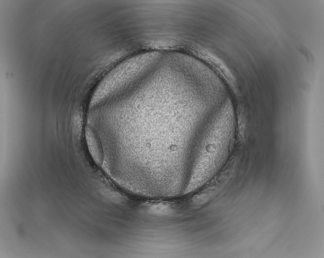 X0000112360113200909031918