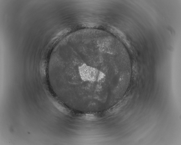 X0000112360114200909031918