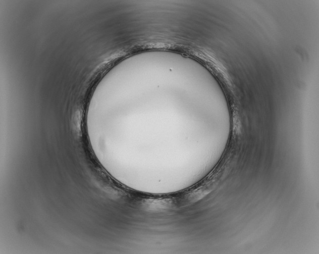 X0000112360115200909031918
