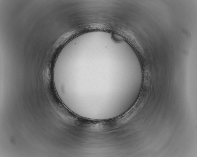 X0000112360116200909031918