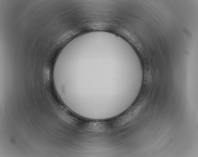X0000112360117200909031918