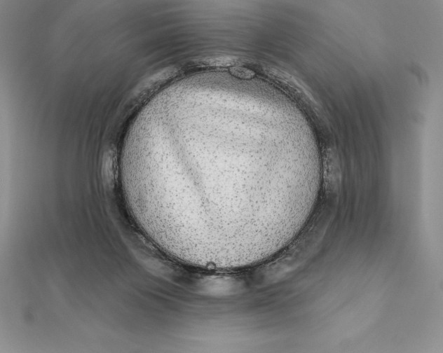 X0000112360119200909031918
