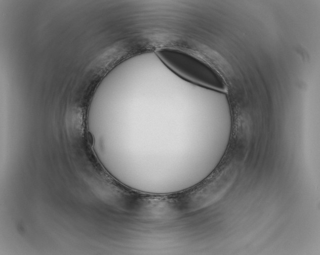 X0000112360121200909031918