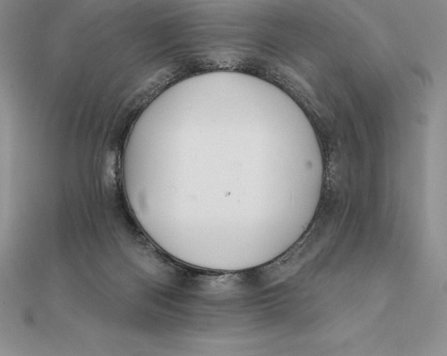 X0000112360122200909031918
