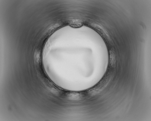 X0000112360123200909031918