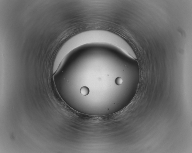 X0000112360124200909031918