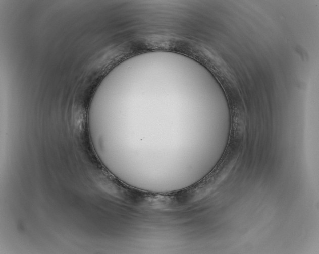 X0000112360125200909031918