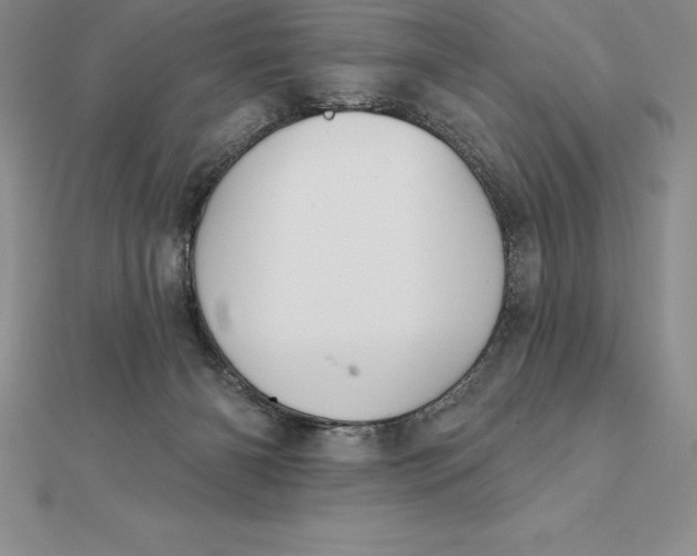X0000112360126200909031918