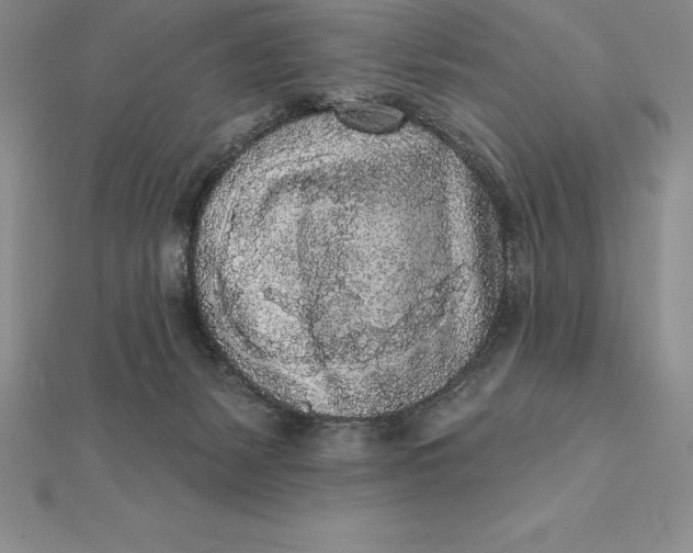 X0000112360127200909031918