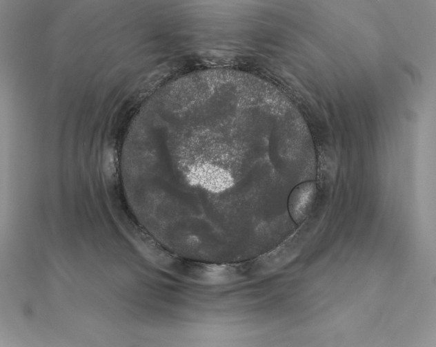 X0000112360130200909031918
