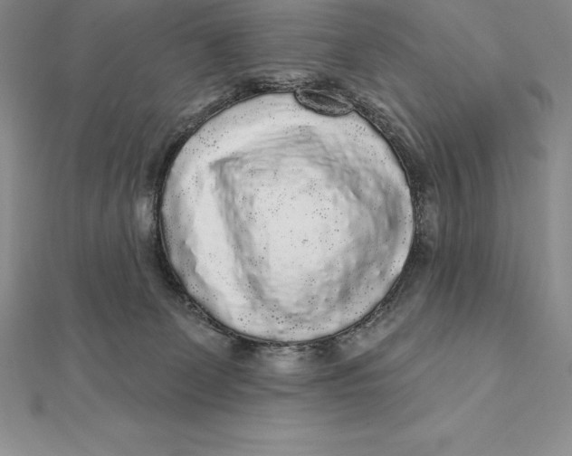 X0000112360131200909031918