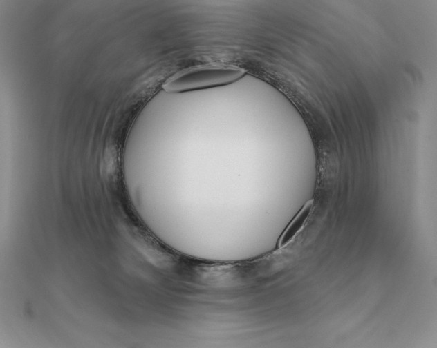 X0000112360132200909031918