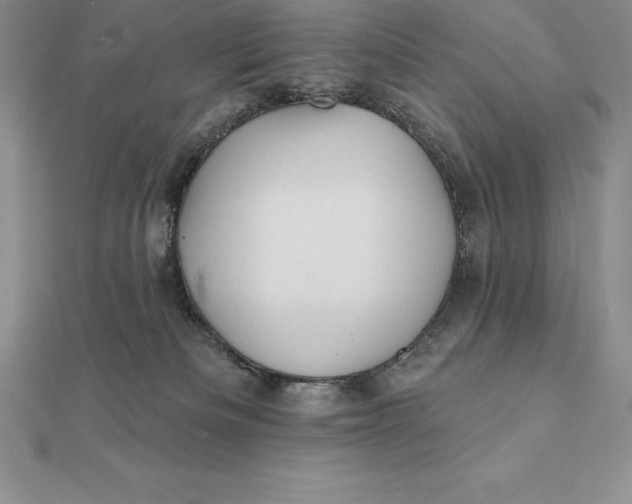X0000112360133200909031918