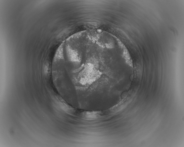 X0000112360134200909031918