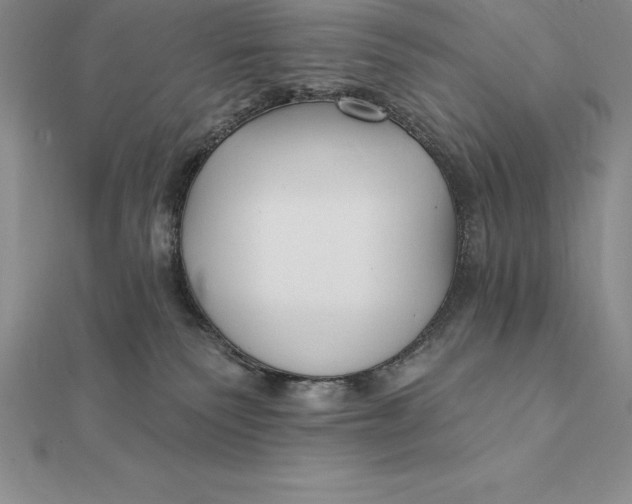 X0000112360135200909031918