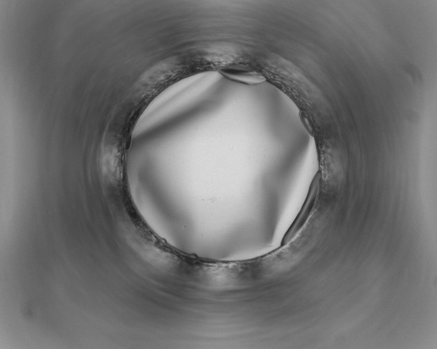 X0000112360136200909031918
