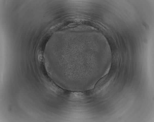 X0000112360137200909031918
