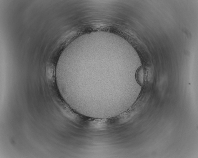 X0000112360138200909031918