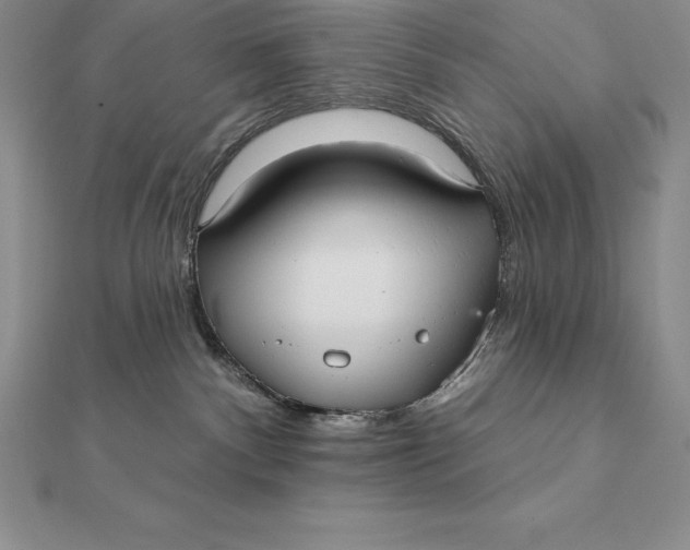 X0000112360140200909031918