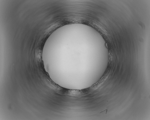 X0000112360141200909031918
