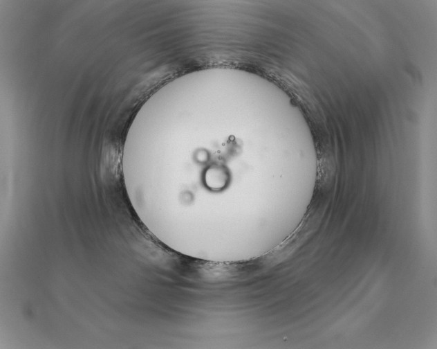 X0000112360142200909031918