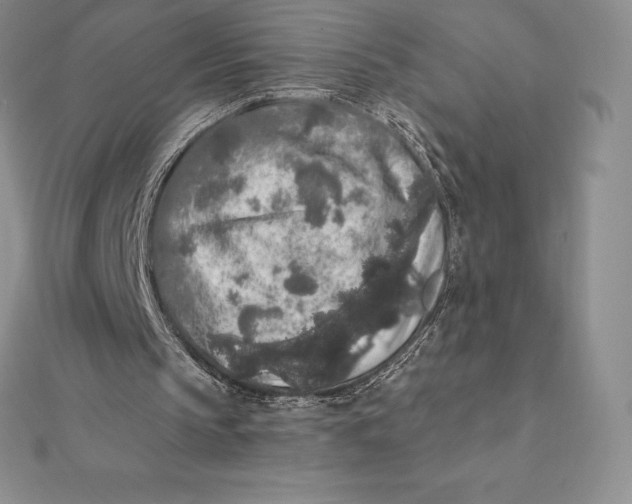 X0000112360145200909031917