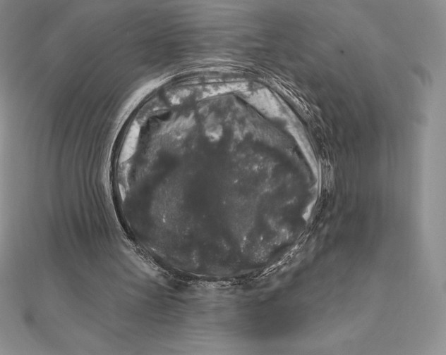 X0000112360147200909031917
