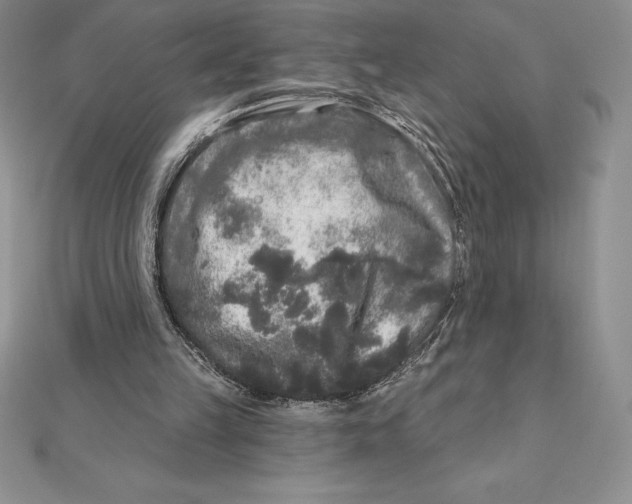 X0000112360149200909031917
