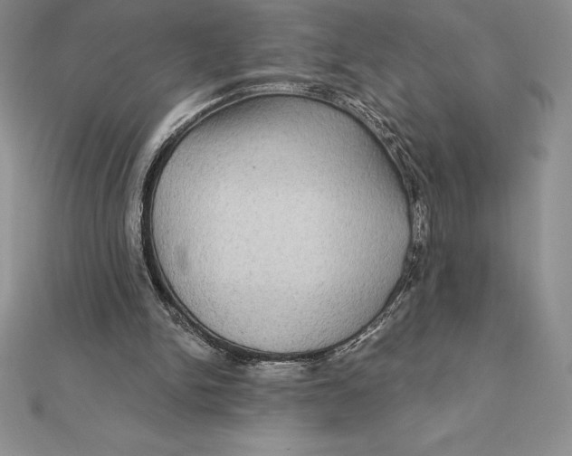 X0000112360150200909031917