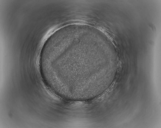 X0000112360151200909031917