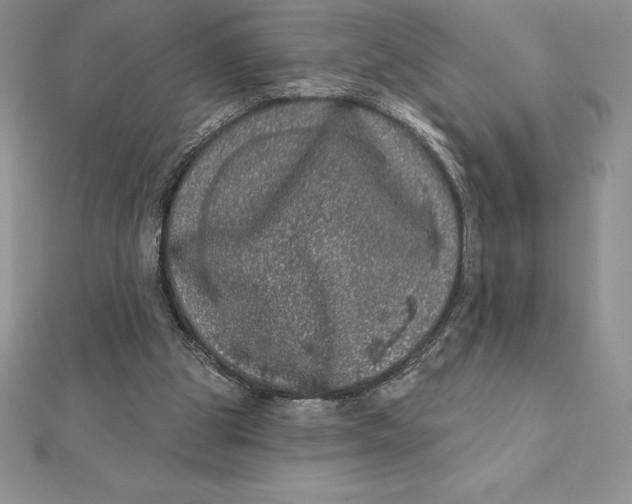 X0000112360153200909031917