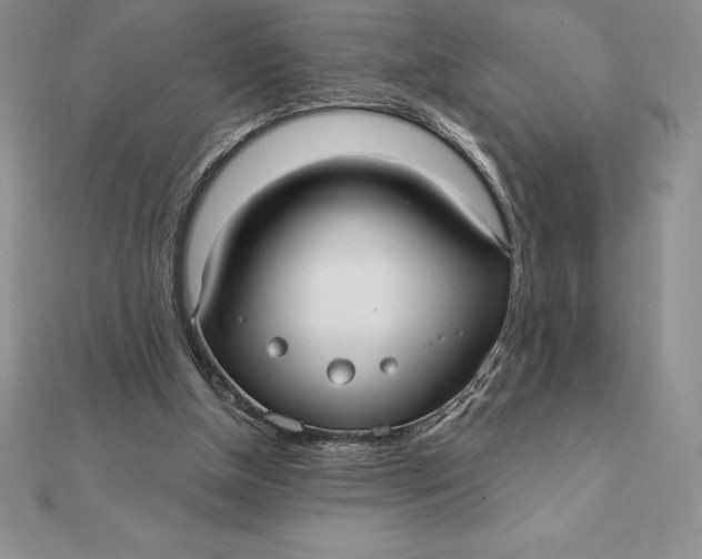 X0000112360154200909031917