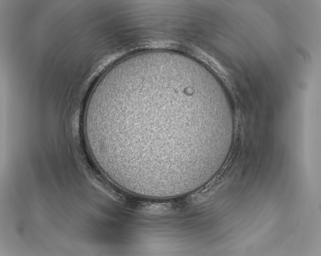 X0000112360155200909031917