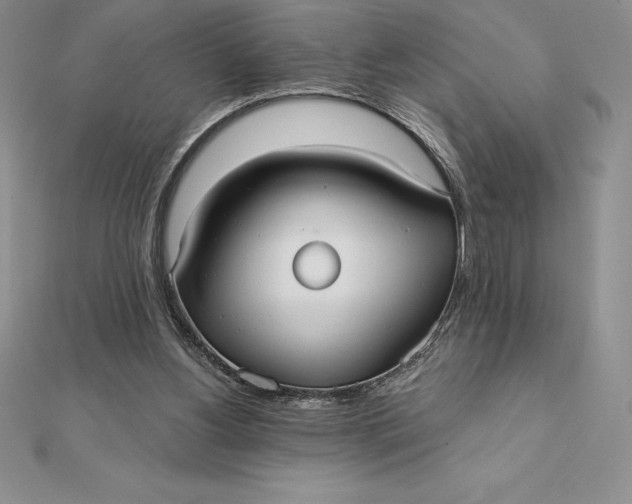 X0000112360156200909031917