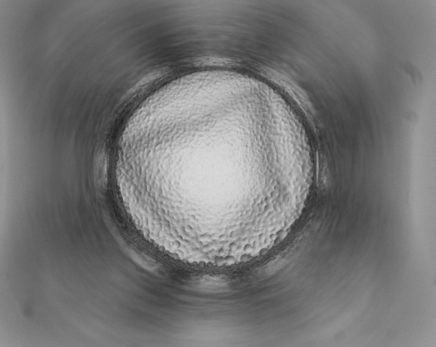 X0000112360157200909031917