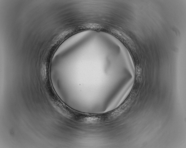 X0000112360158200909031917