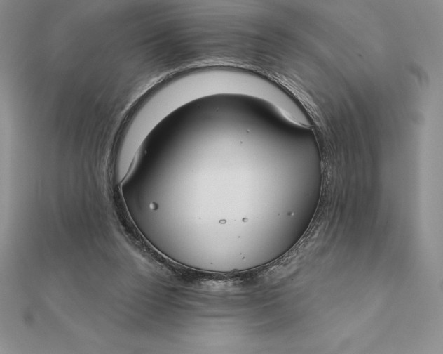 X0000112360160200909031917