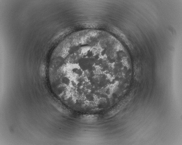 X0000112360161200909031917