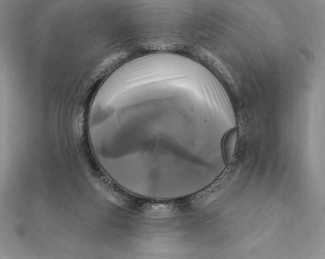 X0000112360163200909031917