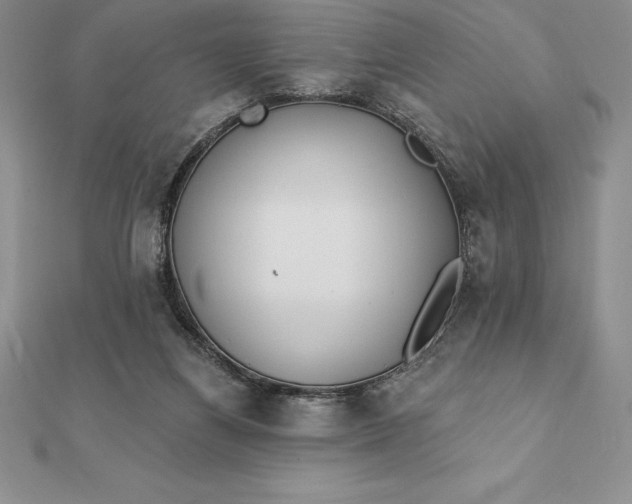 X0000112360164200909031917