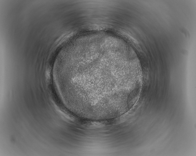 X0000112360166200909031917